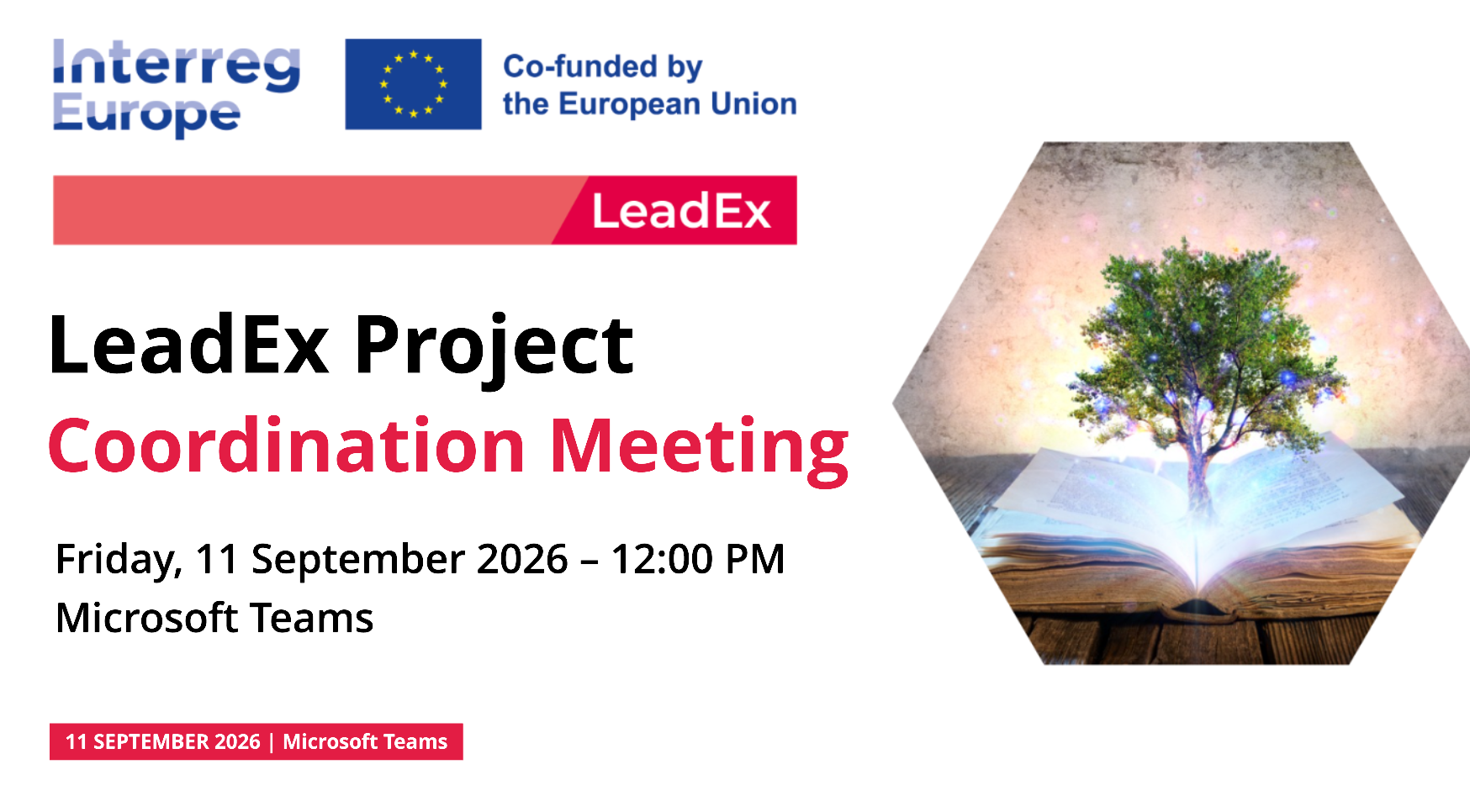 Coordination Meetings 11 - programaseducativos.es LeadEx Project — Coordination Meeting cover slide (11 September 2026).