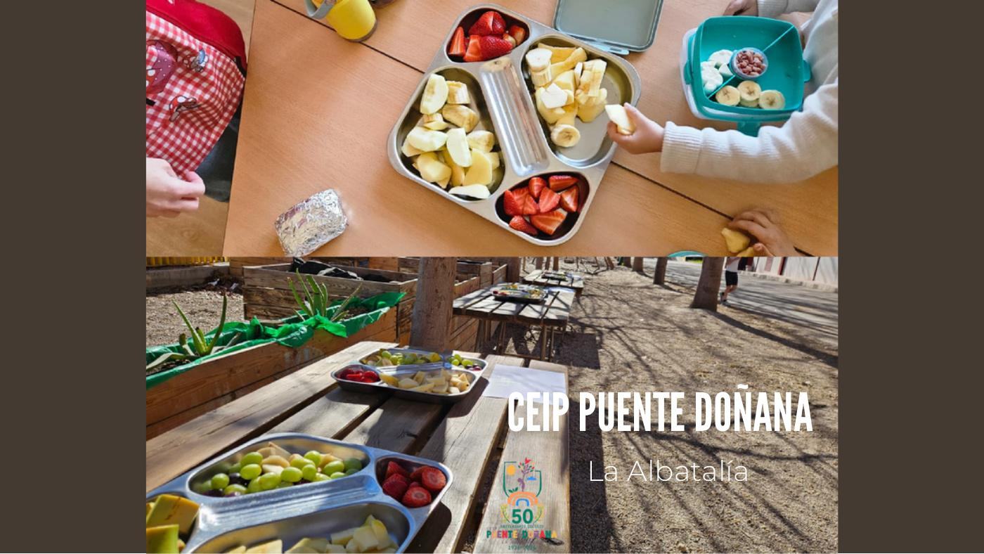 Proyectos de Promoción y Educación para la Salud en los centros (13 de 55)
