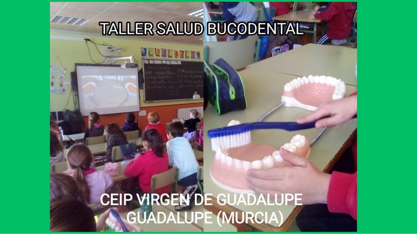 Proyectos de Promoción y Educación para la Salud en los centros (16 de 55)