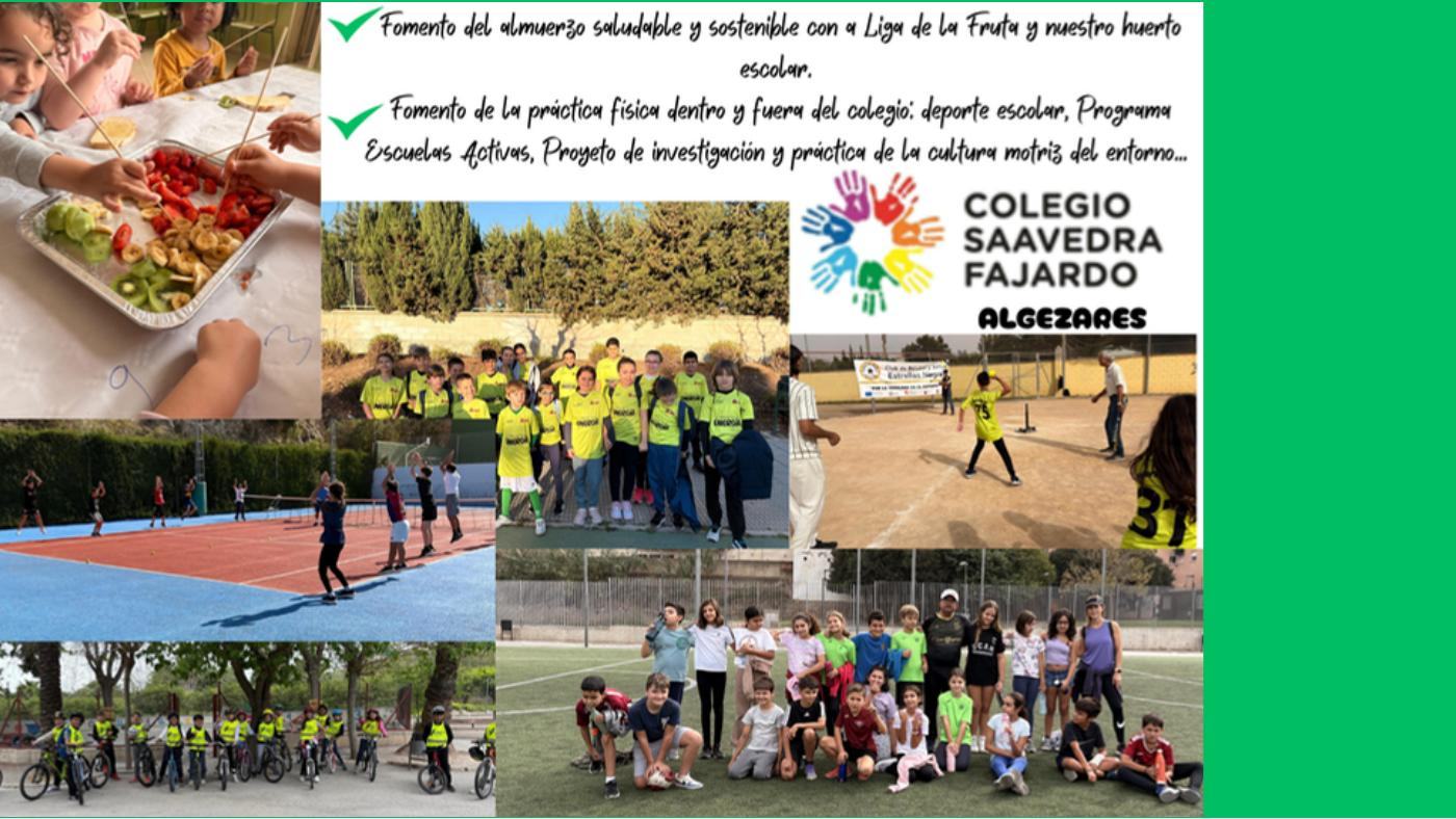 Proyectos de Promoción y Educación para la Salud en los centros (37 de 55)