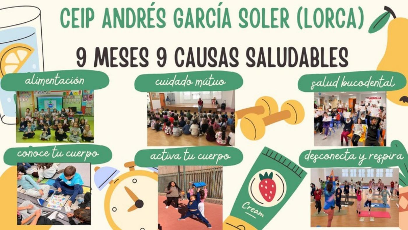 Proyectos de Promoción y Educación para la Salud en los centros (40 de 55)